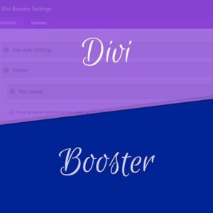 Divi Booster