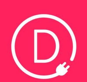 Divi Builder