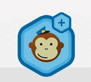Gravity Forms MailChimp