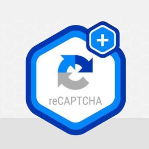 Gravity Forms reCAPTCHA