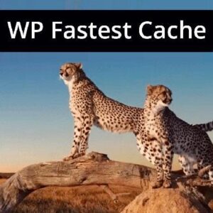 WP Fastest Cache Premium
